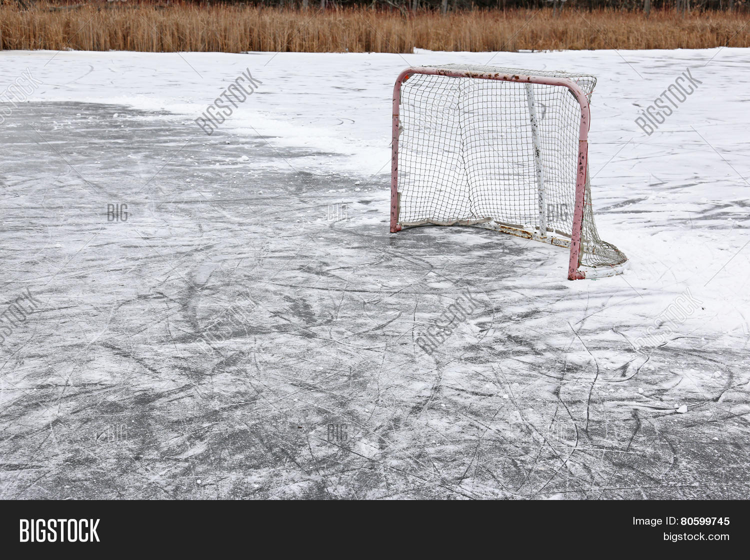 Outdoor Hockey Net Image & Photo (Free Trial) Bigstock
