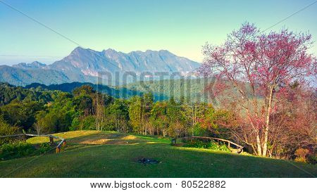 doi luang chiang dao mountain at chiangmai thailand