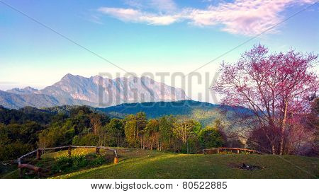 doi luang chiang dao mountain at chiangmai thailand
