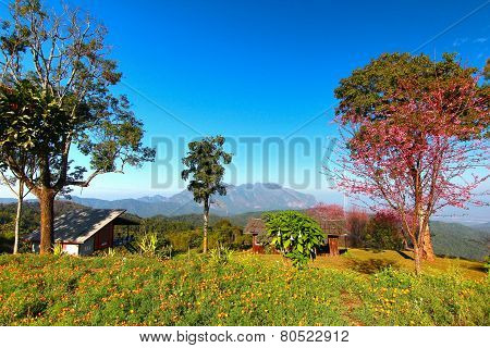 doi luang chiang dao mountain at chiangmai thailand