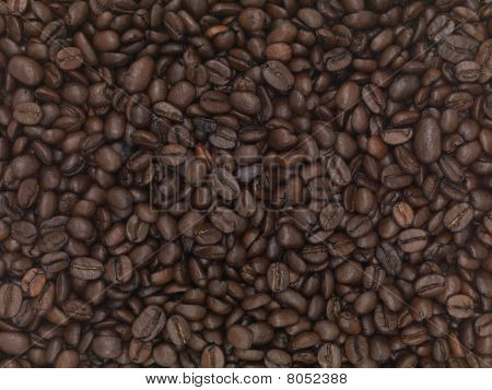 Koffie bonen
