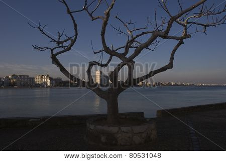 Peniscola North Beach January 15, 2015