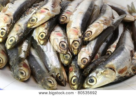 many genuine raw anchovies ready to Cook