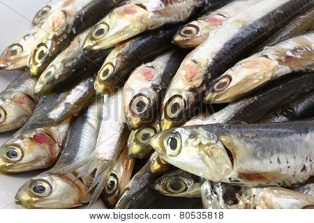 many genuine raw anchovies ready to Cook