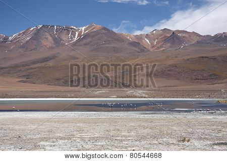 Andes