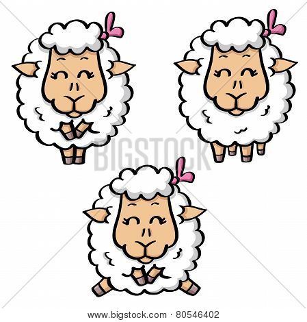 Three Sheeps