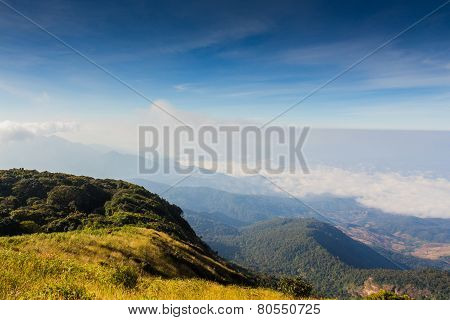 Sky Field