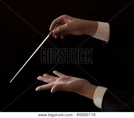 Orchestra conductor hands baton. Music male director holding stick