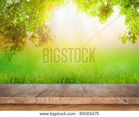 Fresh spring green grass and wood floor with green leaf , Summer time