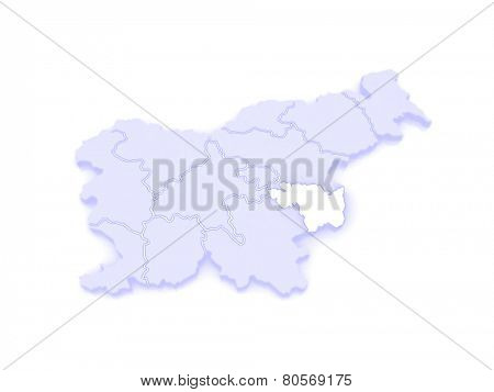 Map of Nizhneposavsky region (Lower Posavina). Slovenia. 3d