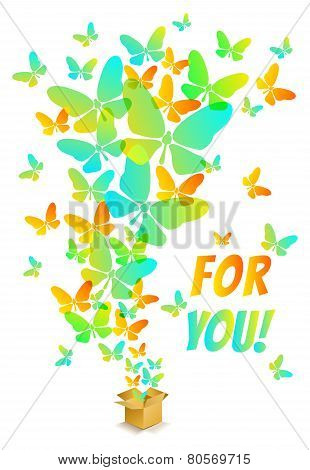 Butterflies