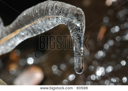 Temperování