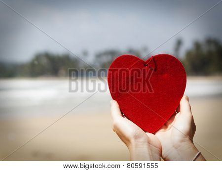 Woman hands holding red heart - Love concept