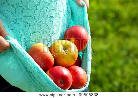 Red apple in hemline of female clothing, closeup