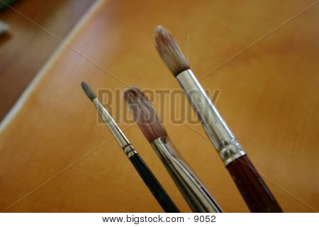 Pennelli di artisti