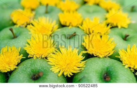 Green apple and dandelion