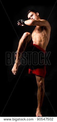 Portrait of boxer hitting in gloves.