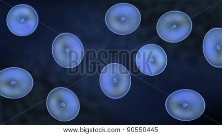 Blue Color Of Cells