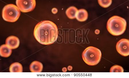 Camera Is Focusing On The Large Cell
