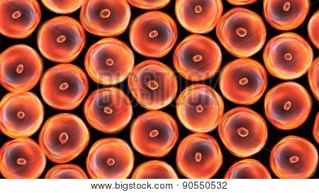 Cells Group