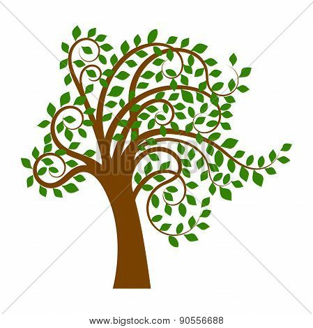 Tree with green leaves