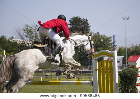 Rider
