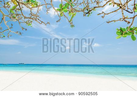 Beautiful Tropical Sand Beach