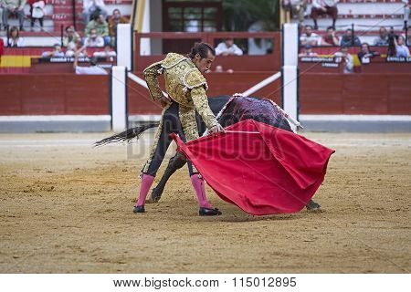 Spanish Bullfighter Cesar Jimenez In The Alley Waiting At The Paseillo Or Initial Parade Bullfight A