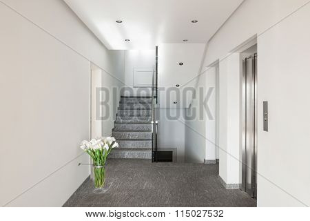 Interior of a modern apartment building, corridor with elevator
