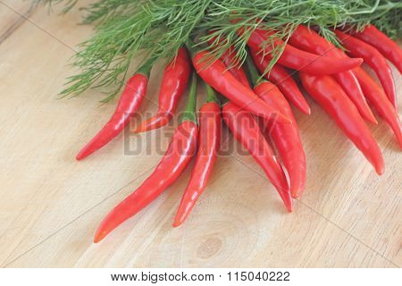 Red chilli pepper or paprika