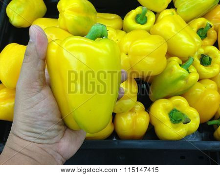 Hand Pick One Yellow Capsicum From The Basket