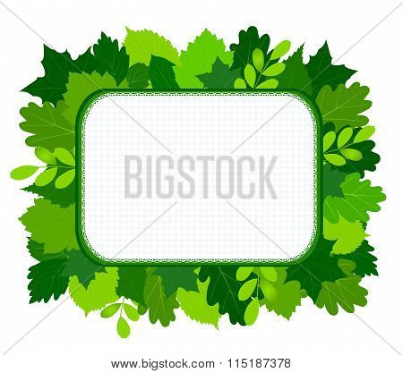 Green Leaves Frame