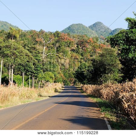 asphalt road in mountains ,  in morning