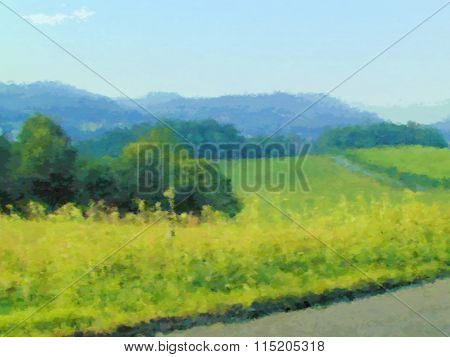 Landscape Field