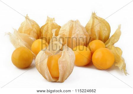 Physalis (gooseberries) On White Background
