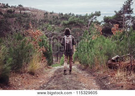 Hiker Walking On Path