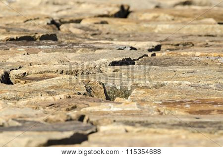 Surface Of Fairhaven Dike