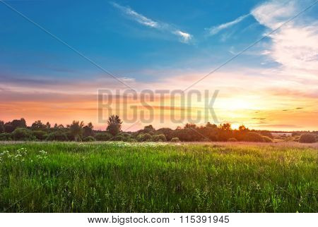 Landscape with coloful sunset in summer field 