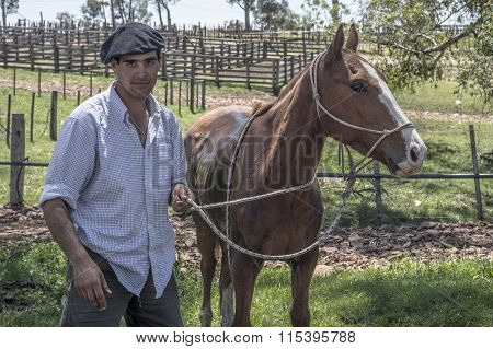 Gaucho Takes Care Of His Horse