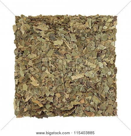 Neem herb used in ayurvedic alternative herbal medicine over white background. Azardirachta.
