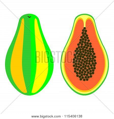 Vector fruits illustration. Detailed icon of papaya whole and half isolated over white background.Se