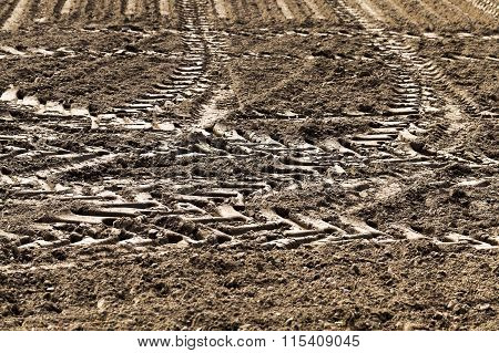 A Tractor Plowed Field Agricultural Land In  Spring. Sown Close-up.