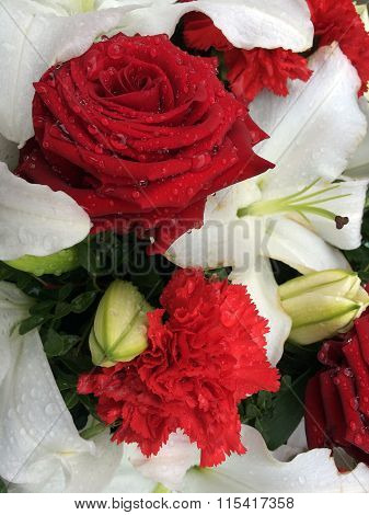 Beautiful flowers