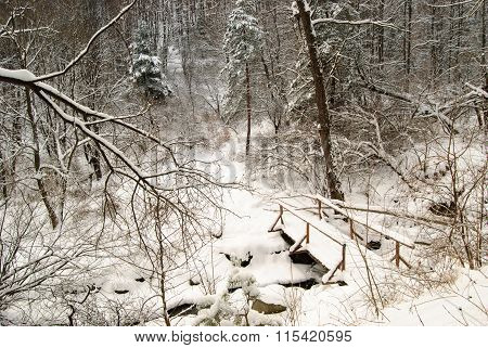 Winter Time In A Park On A Frosty Day