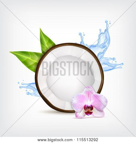 Coconut with green leaves