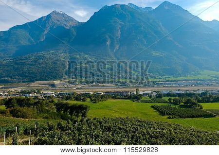 Vineyards located in Aosta Valley with mountains in the background