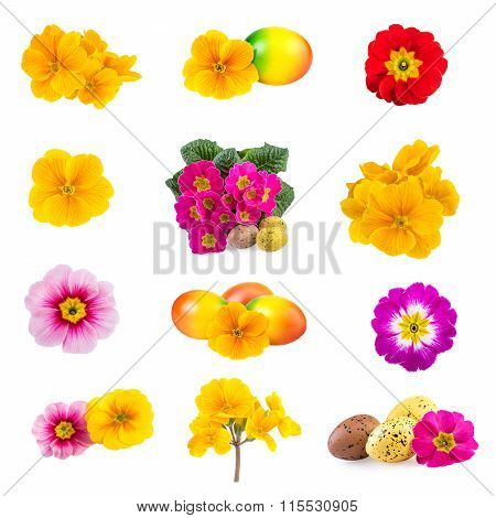 Collection Spring Flowers Easter Eggs