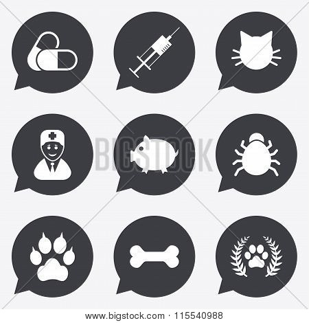 Veterinary, pets icons. Paw, syringe and bone.