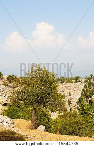 Ruins     From  In Asia Turkey  And Nature