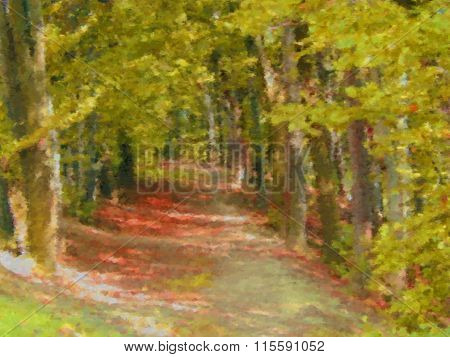 Forest Path